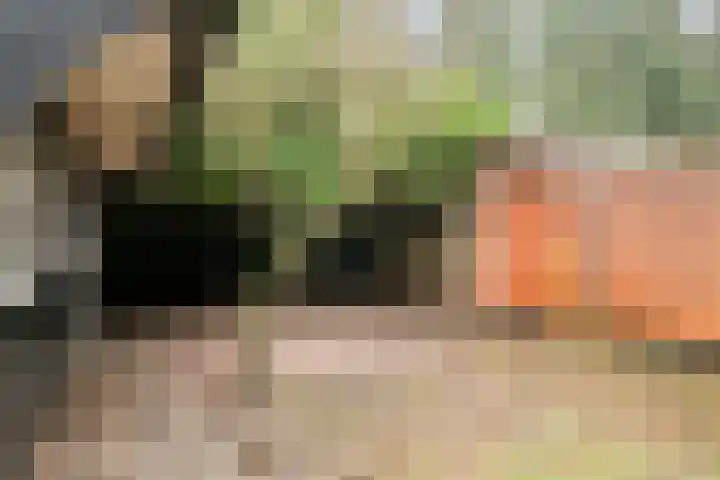 Prof. Schermerhornlaan 16 Helmond thumbnail 6