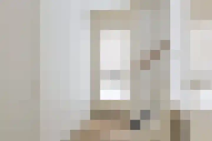 Prof. Schermerhornlaan 16 Helmond thumbnail 7