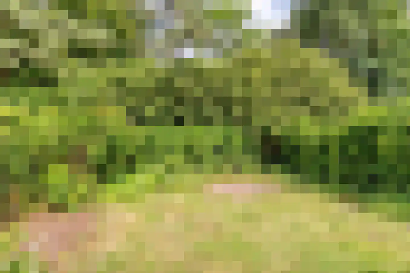 Prof. Schermerhornlaan 24 Helmond thumbnail 27