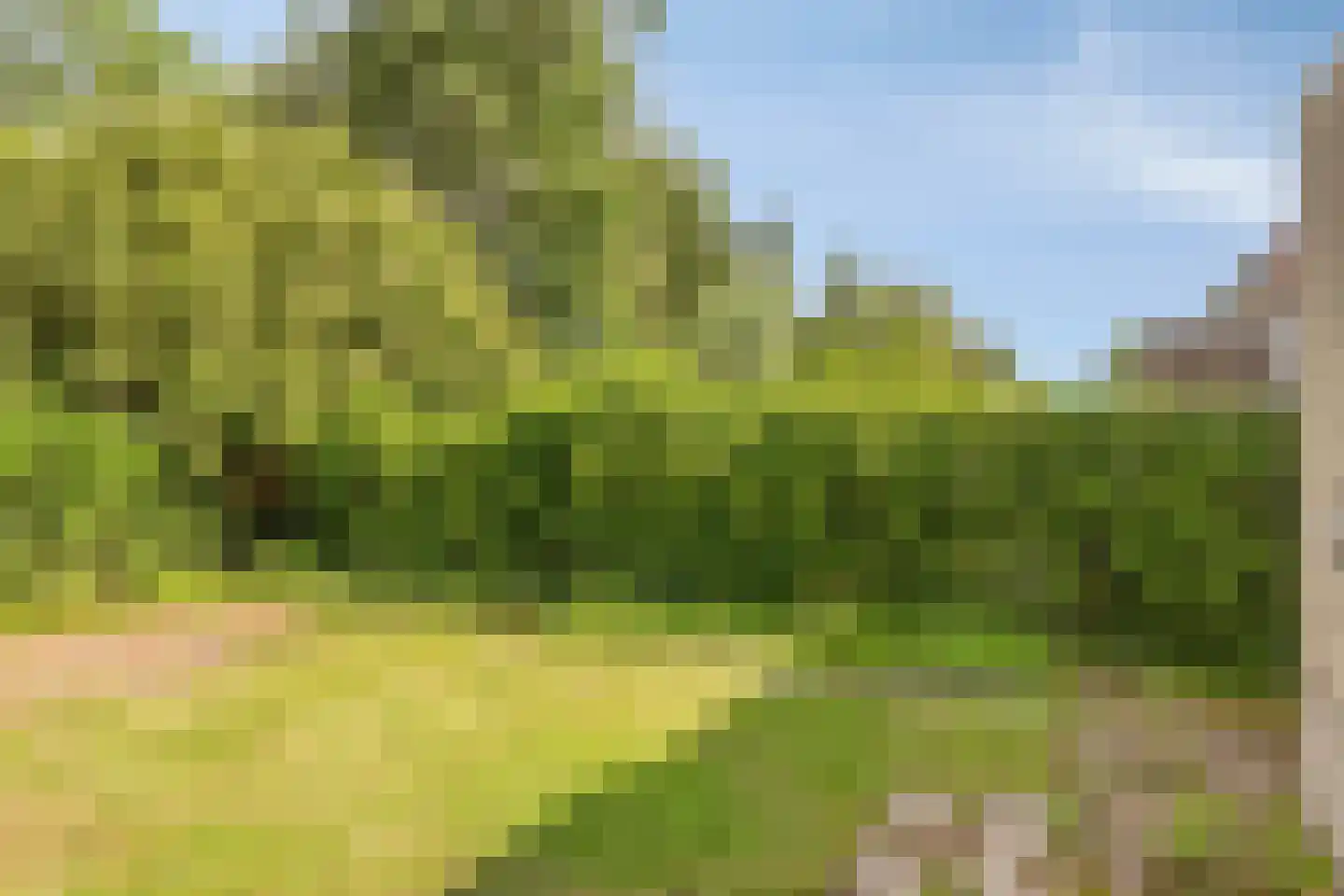 Prof. Schermerhornlaan 24 Helmond thumbnail 28