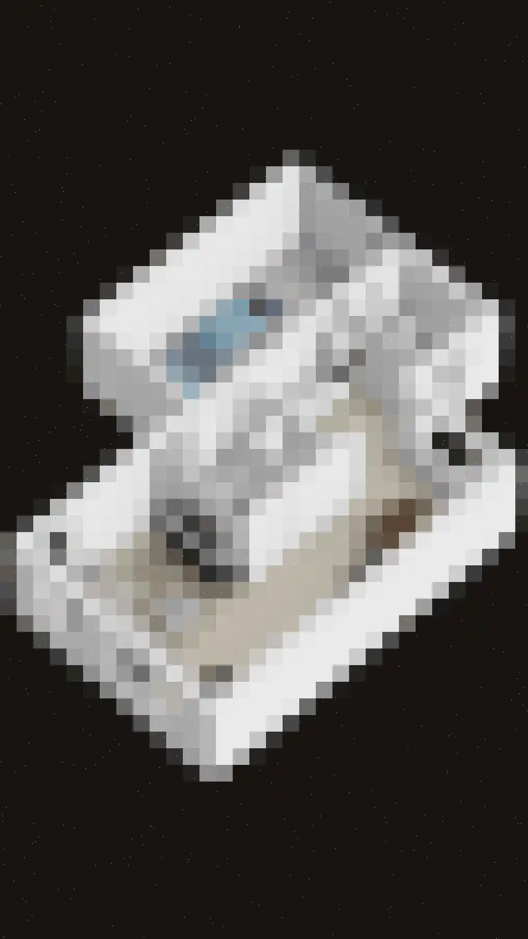 Prof. Schermerhornlaan 24 Helmond thumbnail 34
