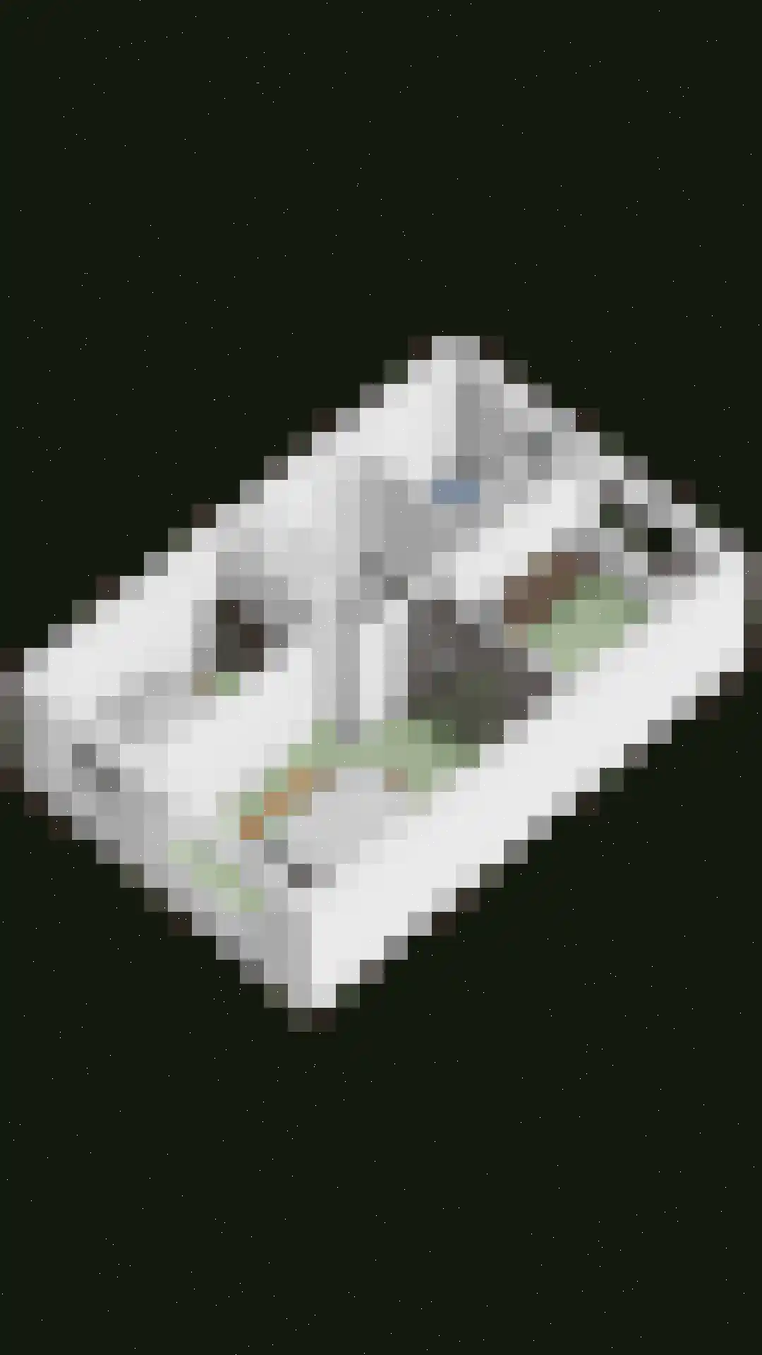 Prof. Schermerhornlaan 24 Helmond thumbnail 36