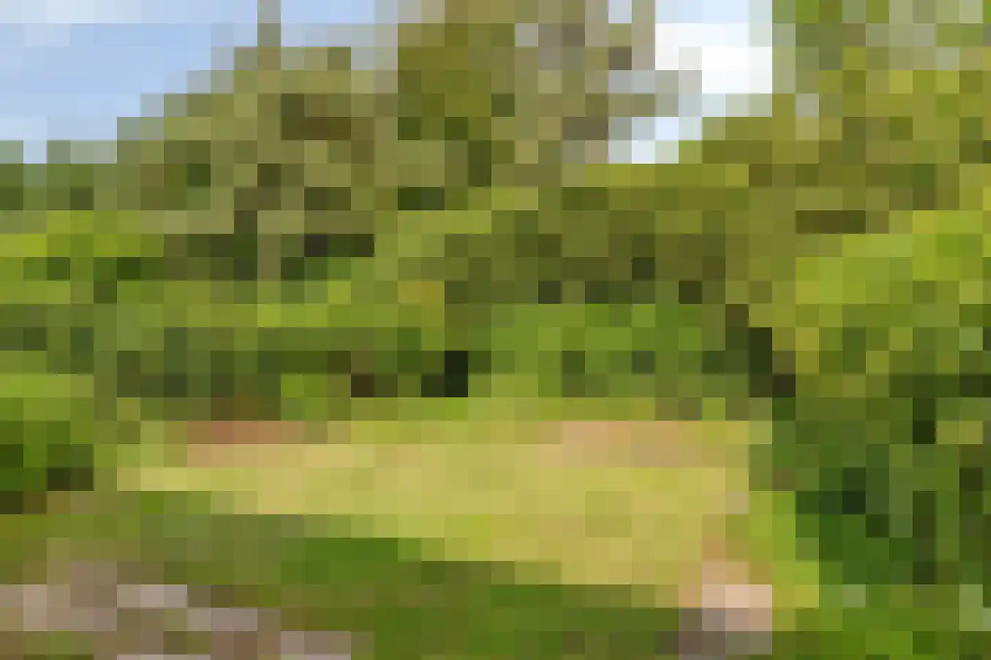 Prof. Schermerhornlaan 24 Helmond thumbnail 6