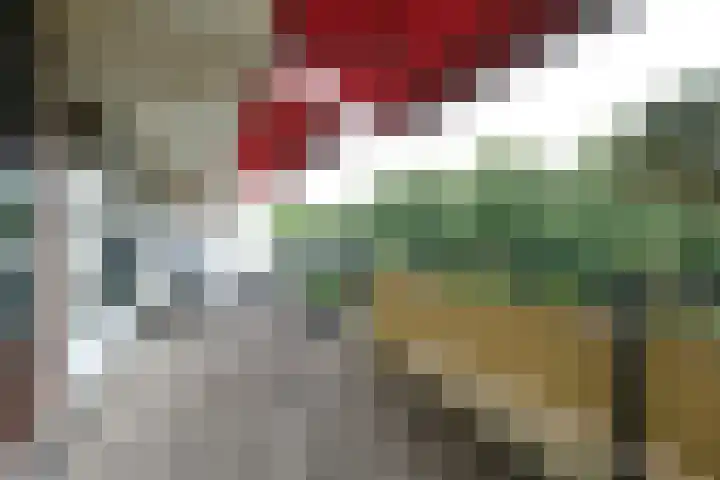 Prof. Schermerhornpark 36 Ede thumbnail 17