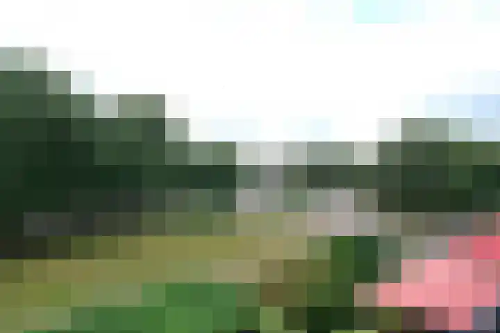 Prof. Schermerhornpark 36 Ede thumbnail 18