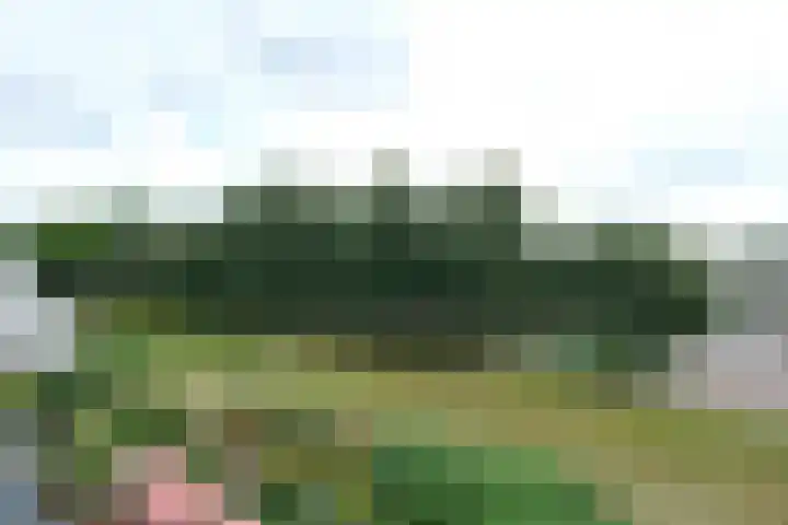 Prof. Schermerhornpark 36 Ede thumbnail 19