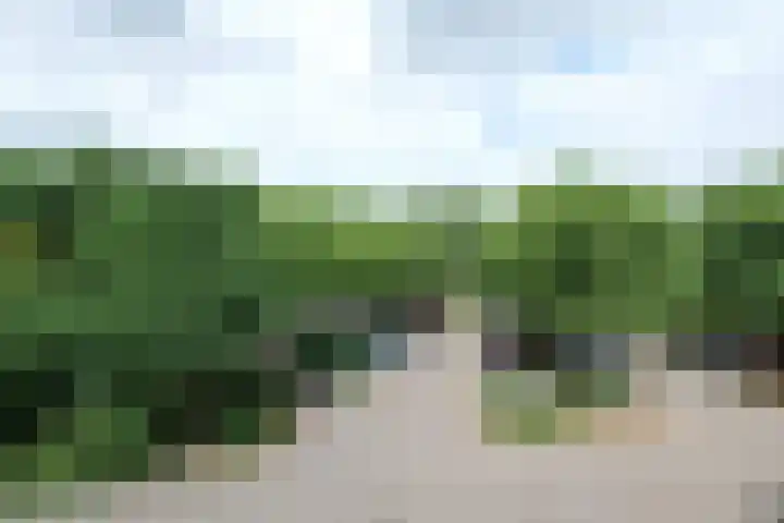 Prof. Schermerhornpark 36 Ede thumbnail 24