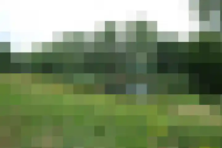 Prof. Schermerhornpark 36 Ede thumbnail 25