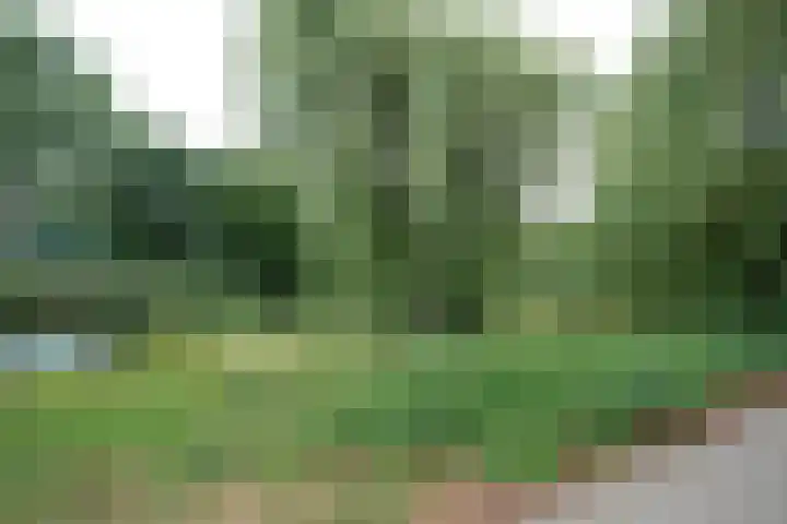 Prof. Schermerhornpark 36 Ede thumbnail 26