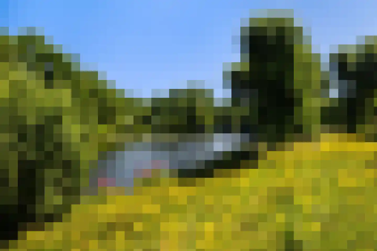 Prof. Schermerhornpark 94 Ede thumbnail 38