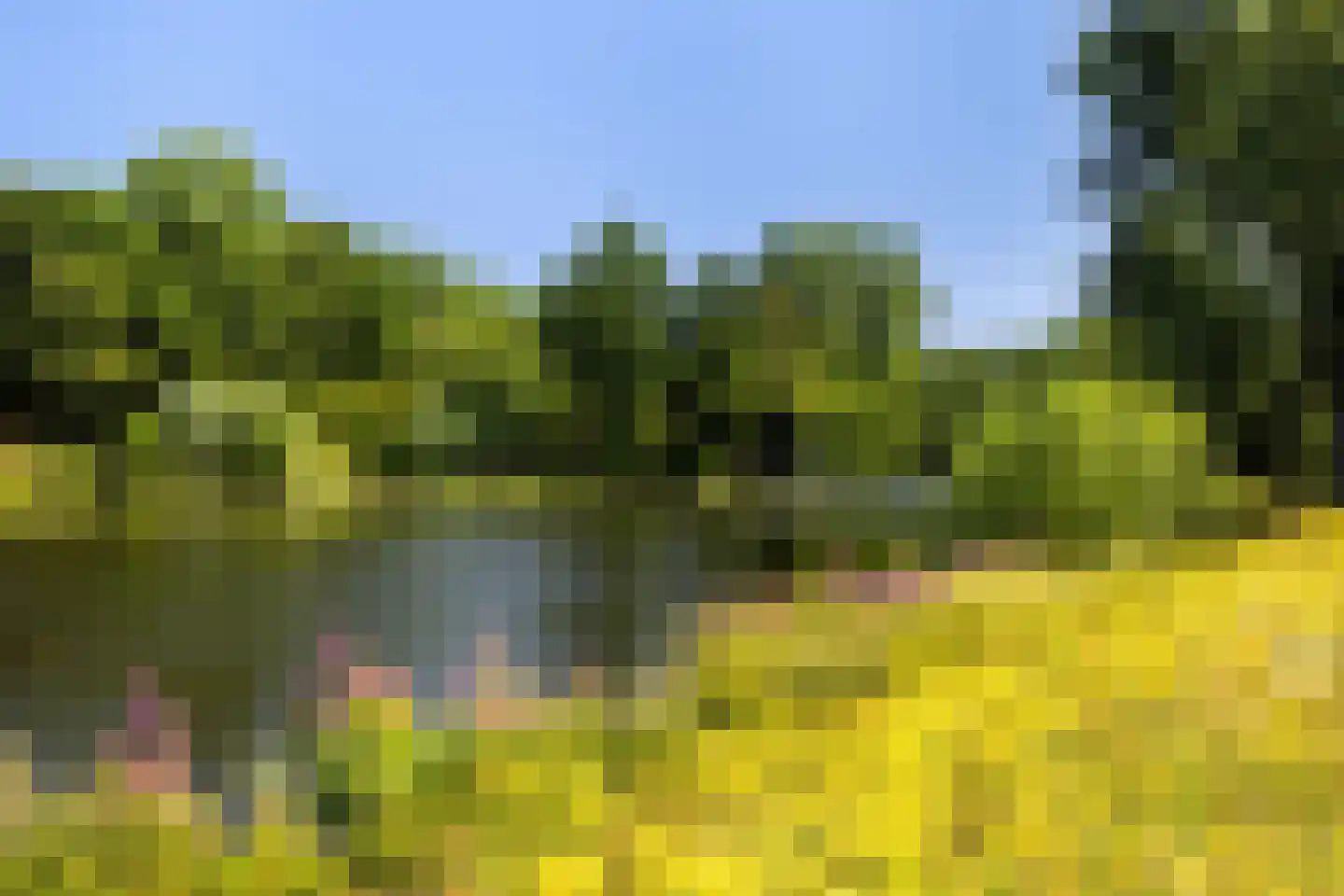 Prof. Schermerhornpark 94 Ede thumbnail 39