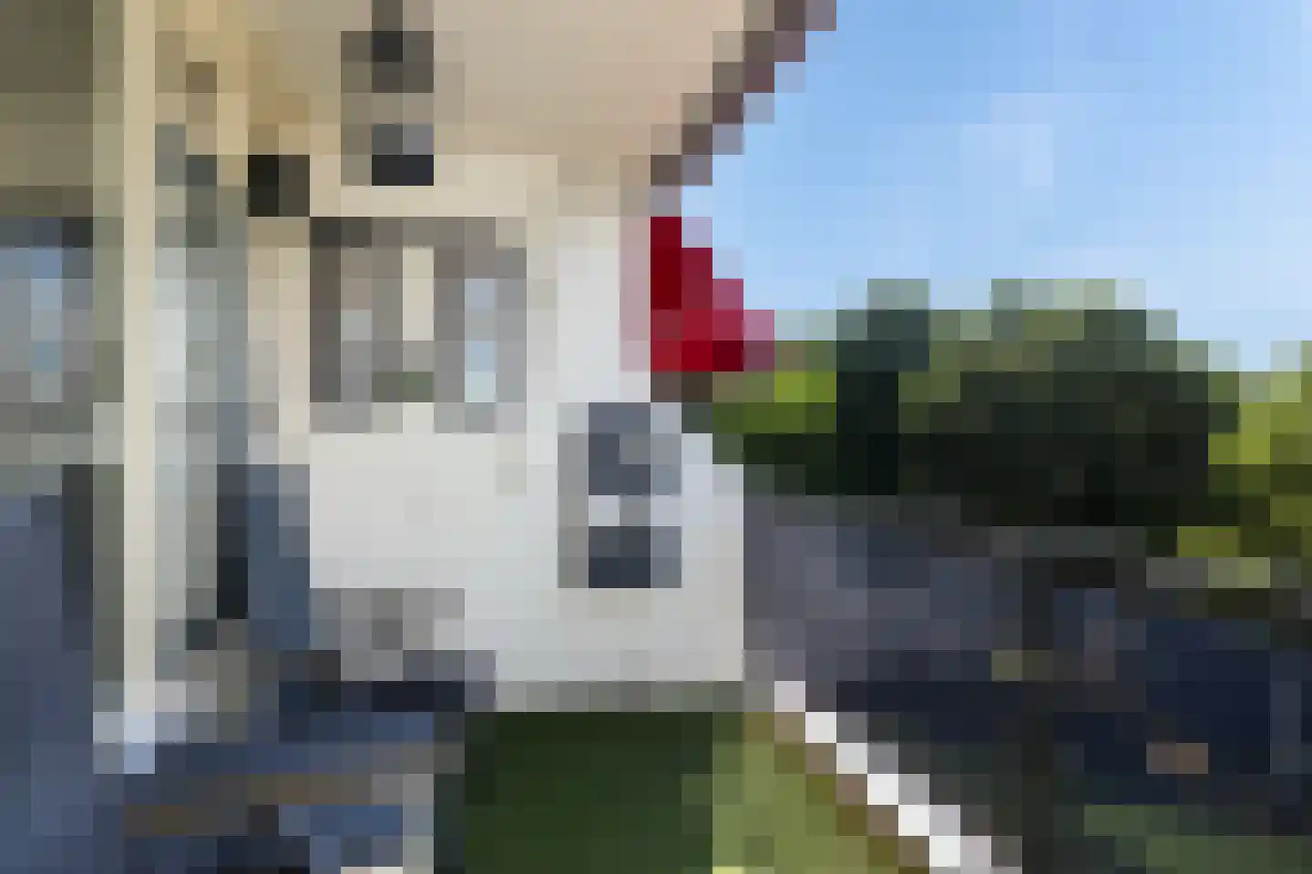 Prof. Schermerhornpark 94 Ede thumbnail 7