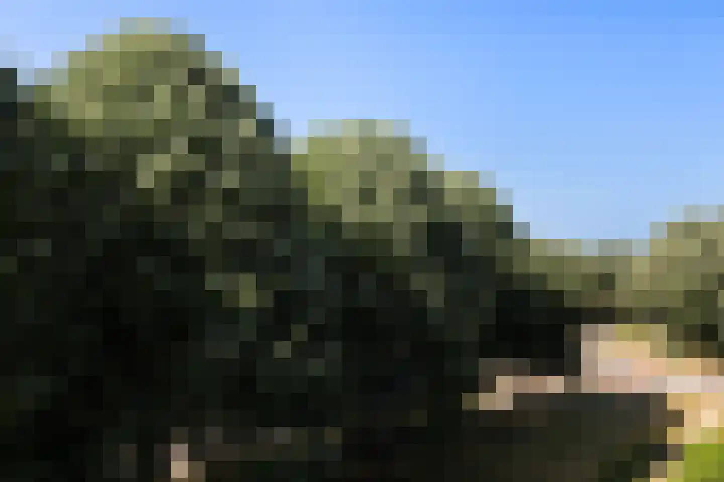 Prof. Schermerhornpark 94 Ede thumbnail 8