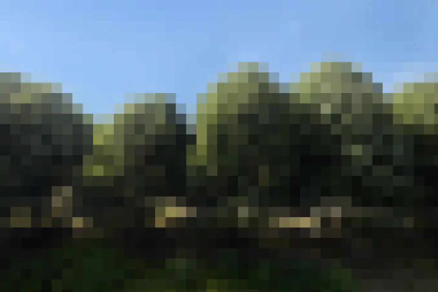 Prof. Schermerhornpark 94 Ede thumbnail 9