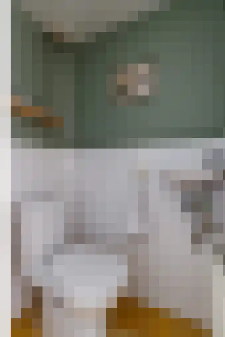 Prof. Sjollemalaan 42 Utrecht thumbnail 15