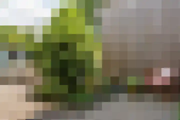 Prof. Sjollemalaan 42 Utrecht thumbnail 19