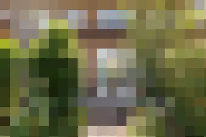 Prof. Sjollemalaan 42 Utrecht thumbnail 21