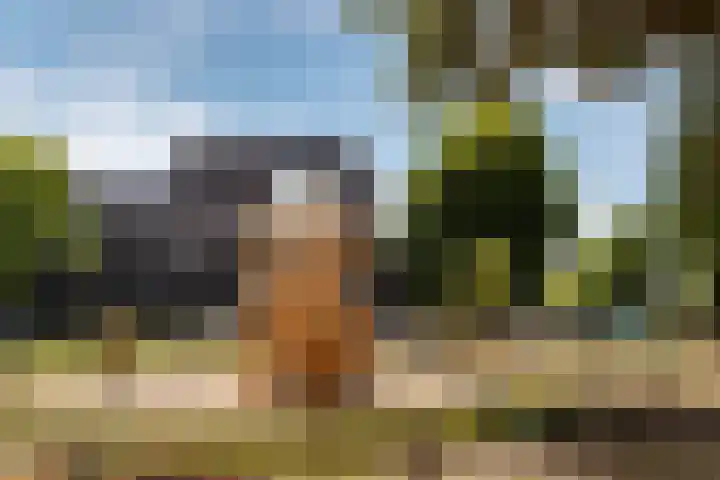 Prof. Sjollemalaan 42 Utrecht thumbnail 36