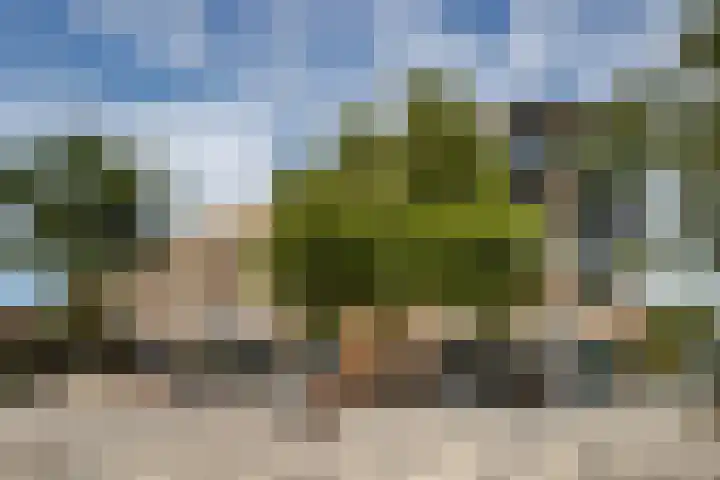 Prof. Sjollemalaan 42 Utrecht thumbnail 39