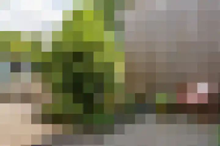 Prof. Sjollemalaan 42 Utrecht thumbnail 5