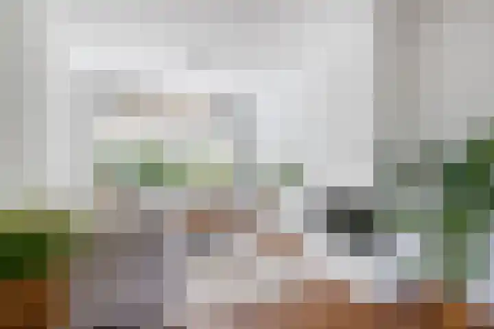 Prof. Sjollemalaan 42 Utrecht thumbnail 8