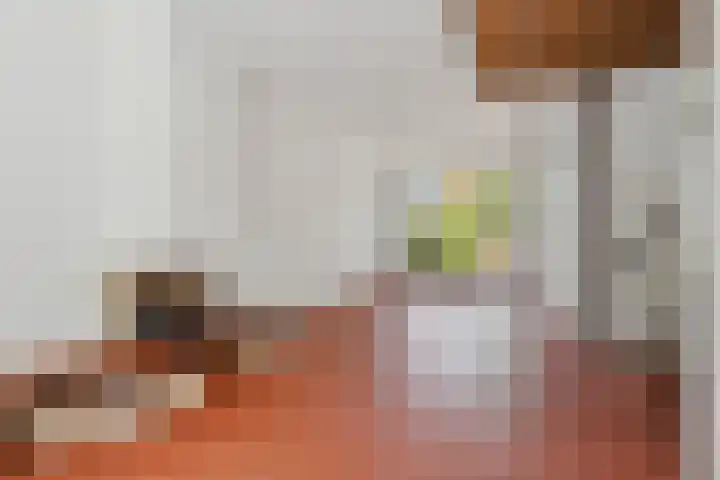 Prof. Sprengerlaan 11 Utrecht thumbnail 10