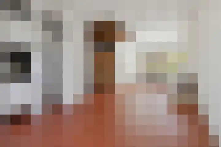 Prof. Sprengerlaan 11 Utrecht thumbnail 15