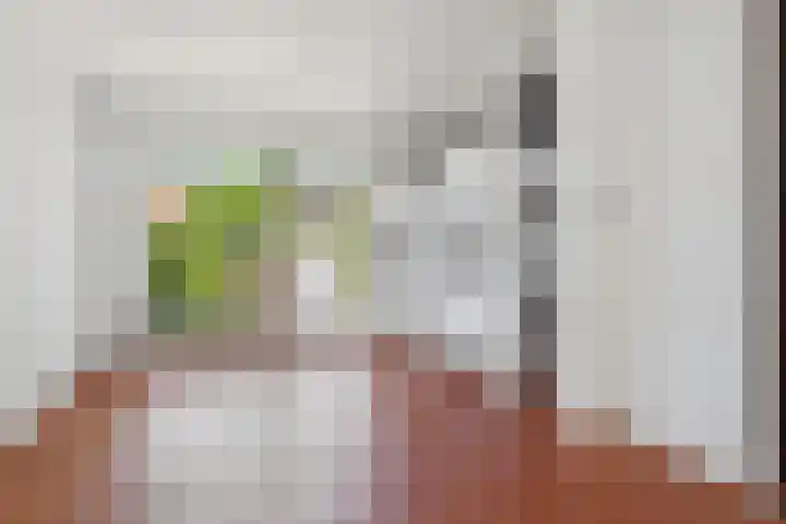 Prof. Sprengerlaan 11 Utrecht thumbnail 16