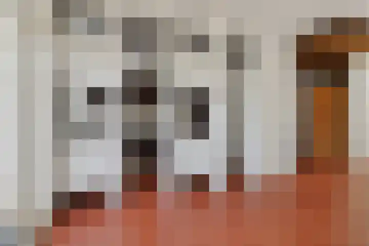 Prof. Sprengerlaan 11 Utrecht thumbnail 17