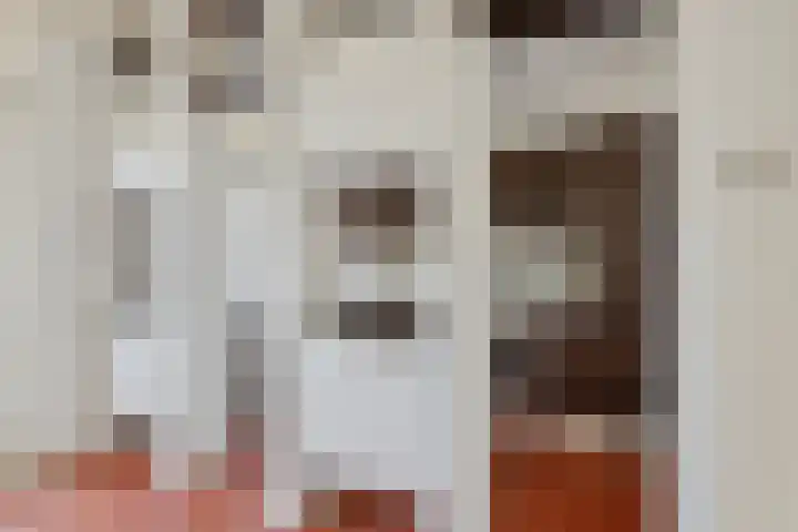 Prof. Sprengerlaan 11 Utrecht thumbnail 18