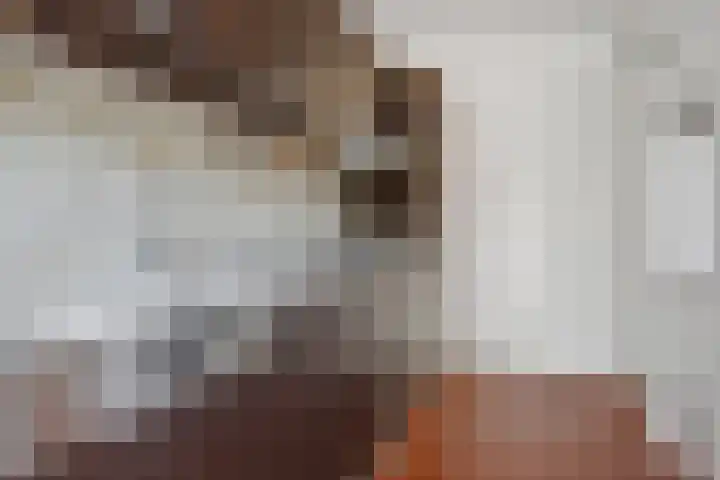 Prof. Sprengerlaan 11 Utrecht thumbnail 19