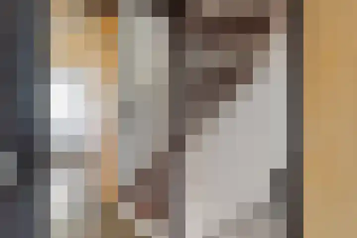 Prof. Sprengerlaan 11 Utrecht thumbnail 21