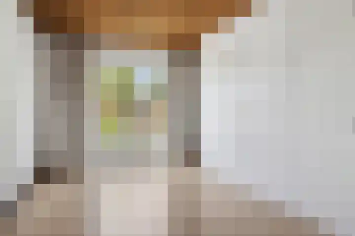 Prof. Sprengerlaan 11 Utrecht thumbnail 22