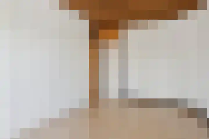 Prof. Sprengerlaan 11 Utrecht thumbnail 23