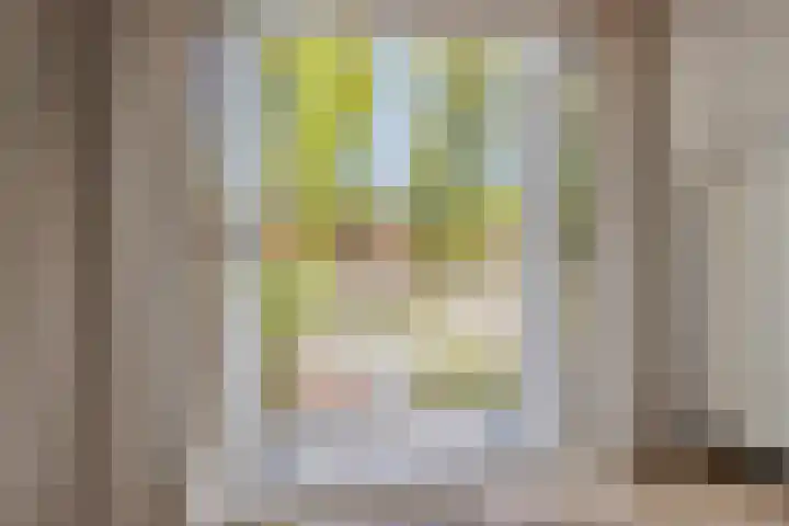 Prof. Sprengerlaan 11 Utrecht thumbnail 24