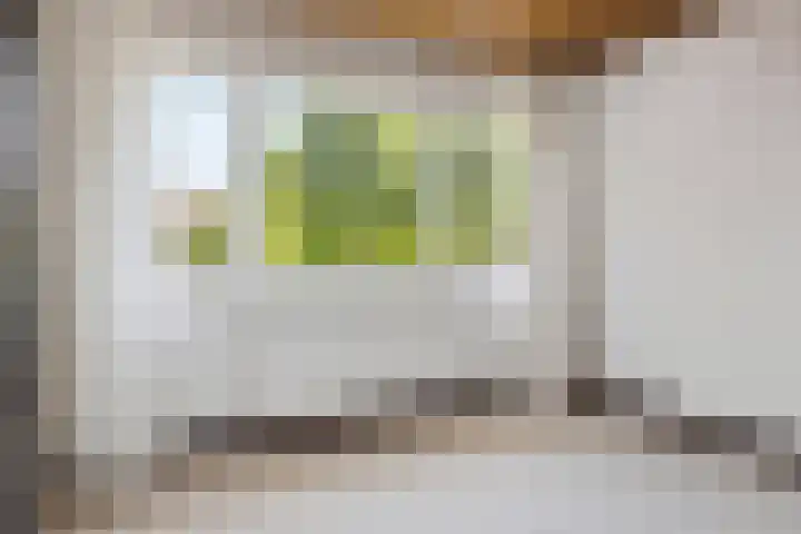 Prof. Sprengerlaan 11 Utrecht thumbnail 27