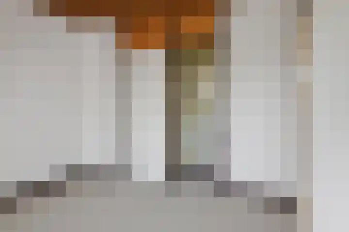 Prof. Sprengerlaan 11 Utrecht thumbnail 29