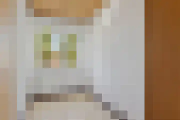 Prof. Sprengerlaan 11 Utrecht thumbnail 30