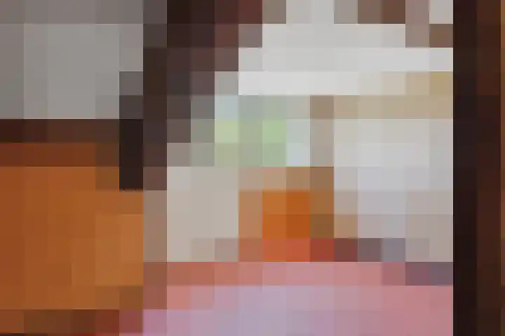 Prof. Sprengerlaan 11 Utrecht thumbnail 34