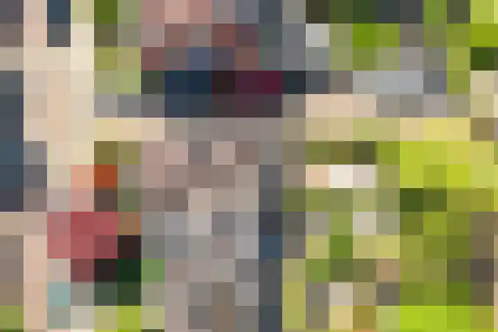 Prof. Sprengerlaan 11 Utrecht thumbnail 38