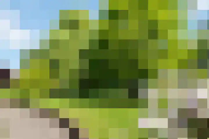 Prof. Sprengerlaan 11 Utrecht thumbnail 39