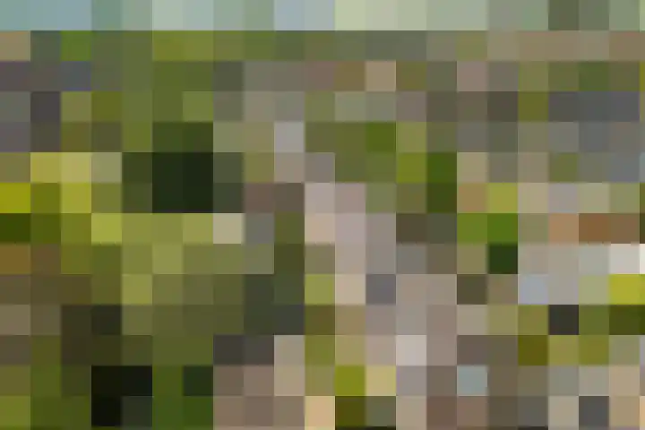 Prof. Sprengerlaan 11 Utrecht thumbnail 40