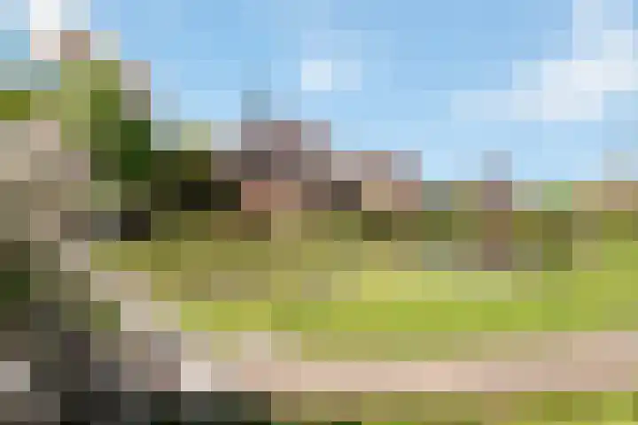 Prof. Sprengerlaan 11 Utrecht thumbnail 41
