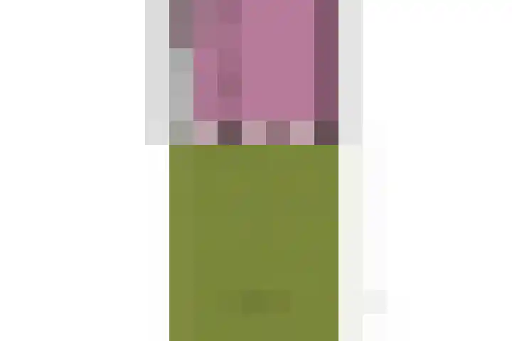Prof. Sprengerlaan 11 Utrecht thumbnail 43