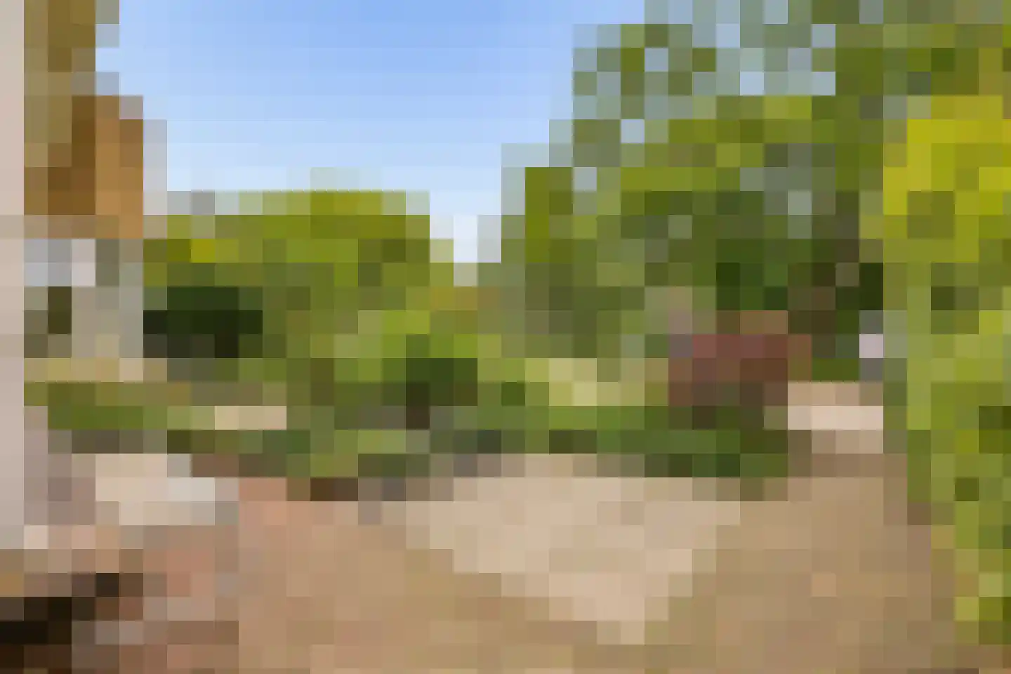 Prof. Sprengerlaan 18 Utrecht thumbnail 43