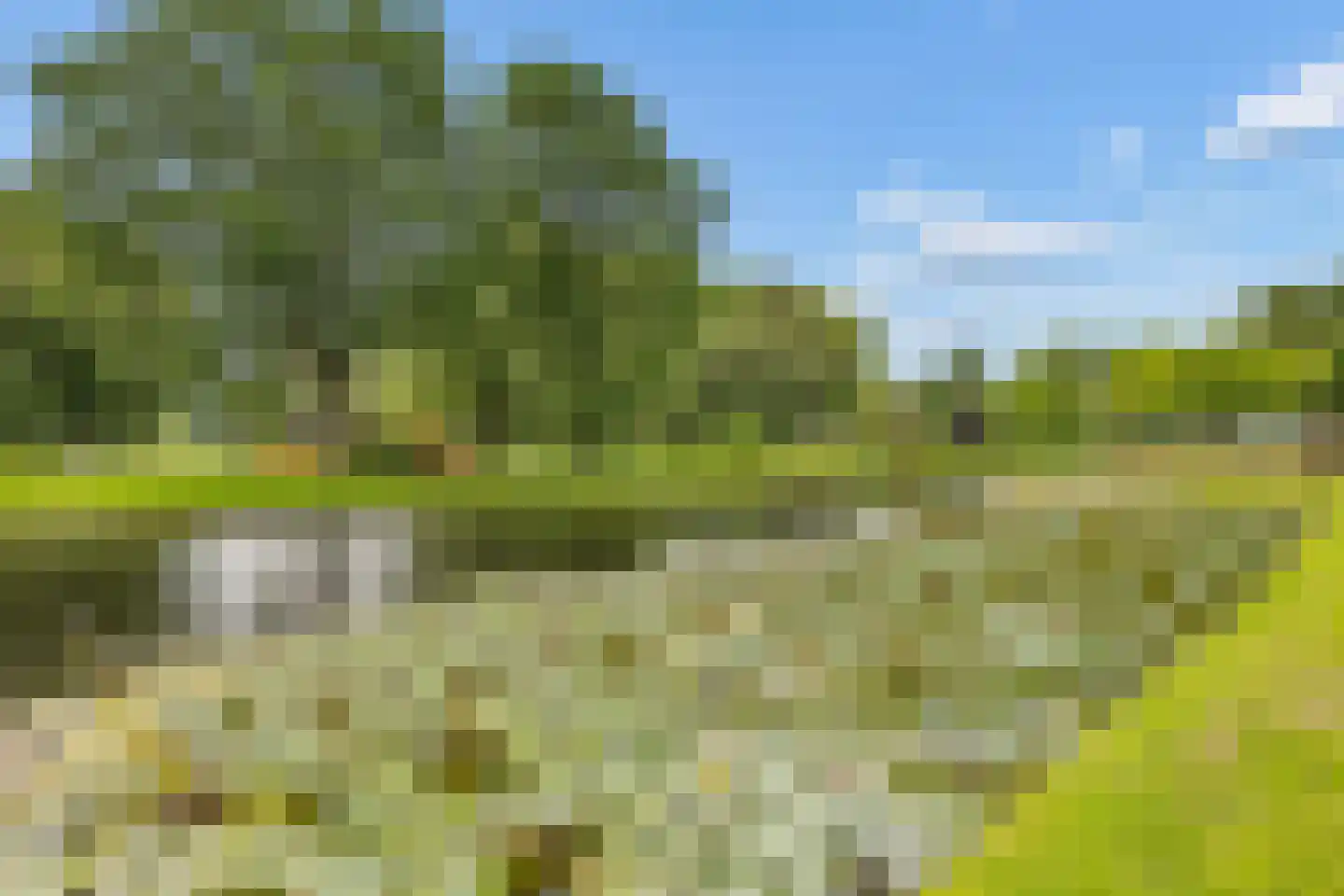Prof. Sprengerlaan 18 Utrecht thumbnail 46