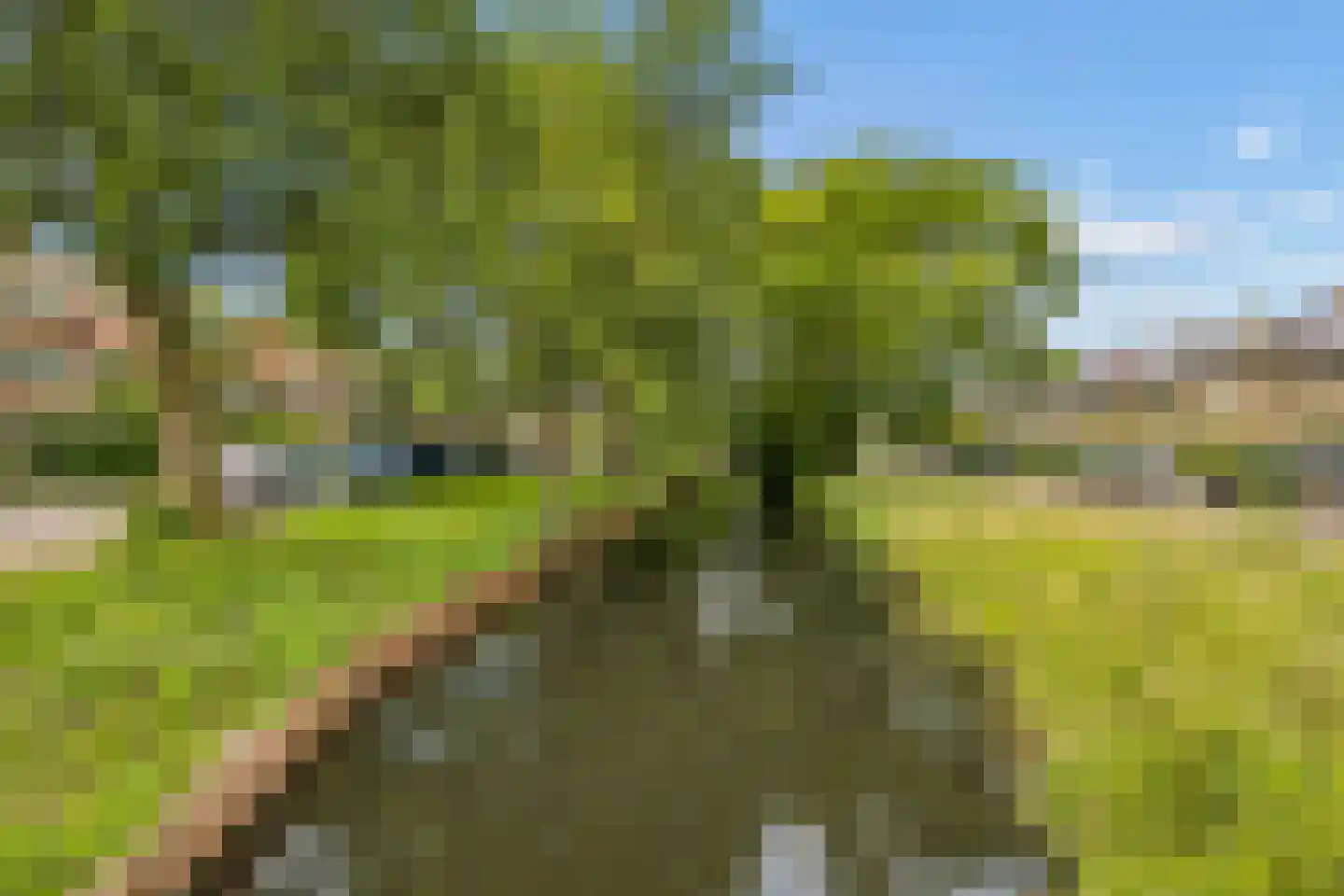 Prof. Sprengerlaan 18 Utrecht thumbnail 47