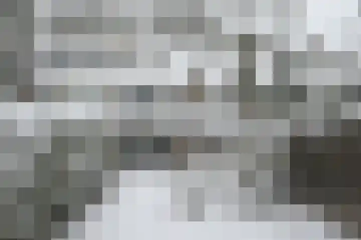 Prof. Sproncklaan 14 Zeist thumbnail 26