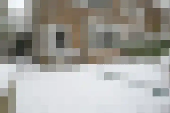 Prof. Sproncklaan 14 Zeist thumbnail 27