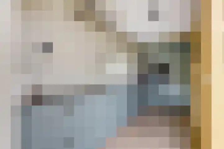 Prof. Sproncklaan 21 Zeist thumbnail 11